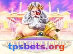 tpsbet VIP 📊 Login, Performance e ROI em 2026 7 Imagem ilustrativa
